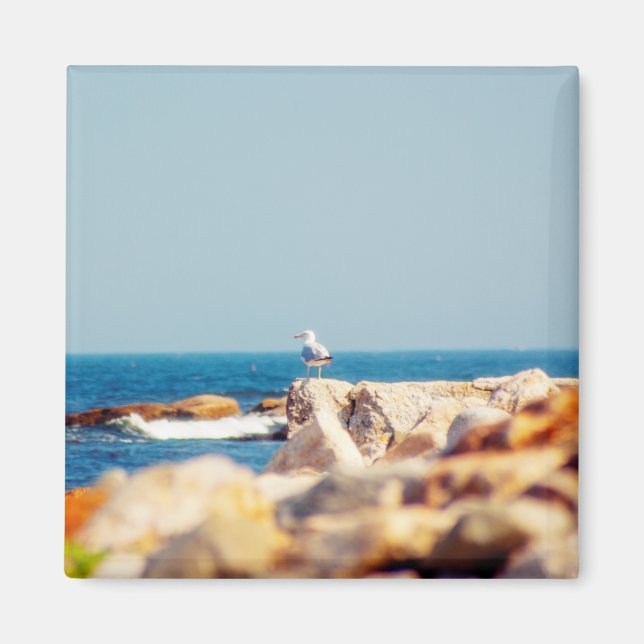 Íman Posto de Gull (Frente)