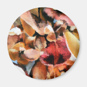 ÍMAN POT-POURRI