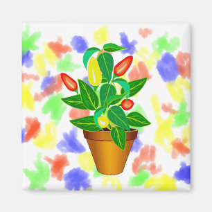 Íman Pote com a planta vermelha e amarela da pimenta