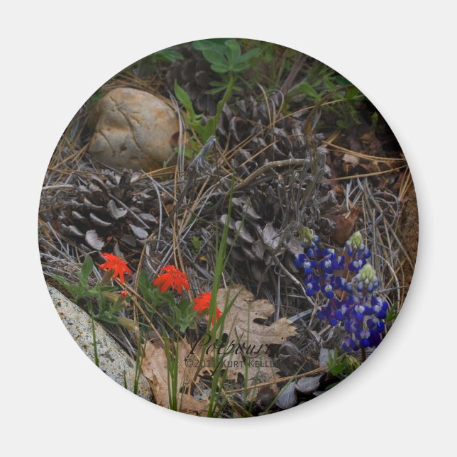 Íman Potes-pourris (Frente)