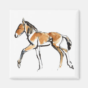 Íman Potro