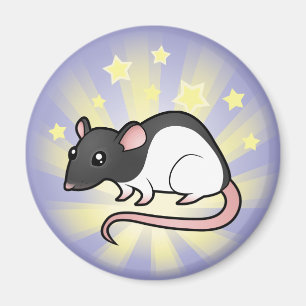 Íman Pouco rato da estrela