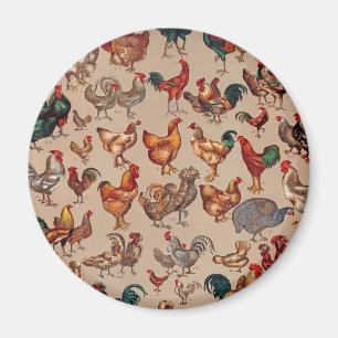Íman Poultry Rooster Chicken country vintage art