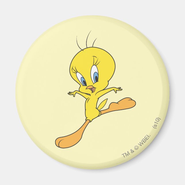 Íman Pouso do TWEETY™ (Frente)