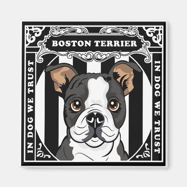 Íman Praça do Magnet Cuja Terrier de Boston é dividida (Frente)
