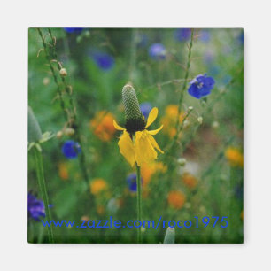 Íman Pradaria Coneflower