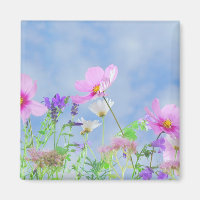 Prado bonito de Flor Selvagem Rosa