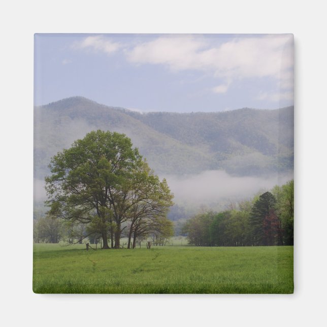 Íman Prado enevoado e Rich Mountain, Cades Cove, (Frente)