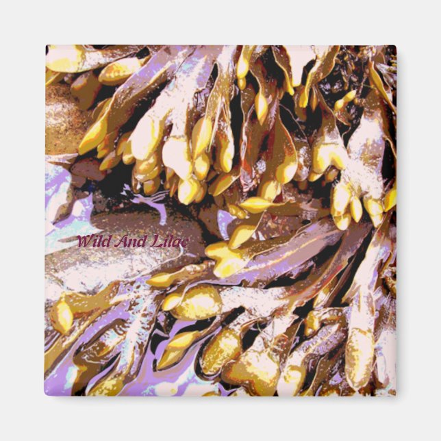 ÍMAN PRAIA (Frente)