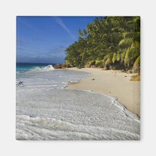 Íman Praia Anse Victorin 2