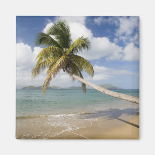Íman Praia Coconut Grove na Baía de Cades, com St.
