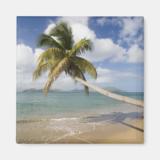 Íman Praia Coconut Grove na Baía de Cades, com St. (Frente)