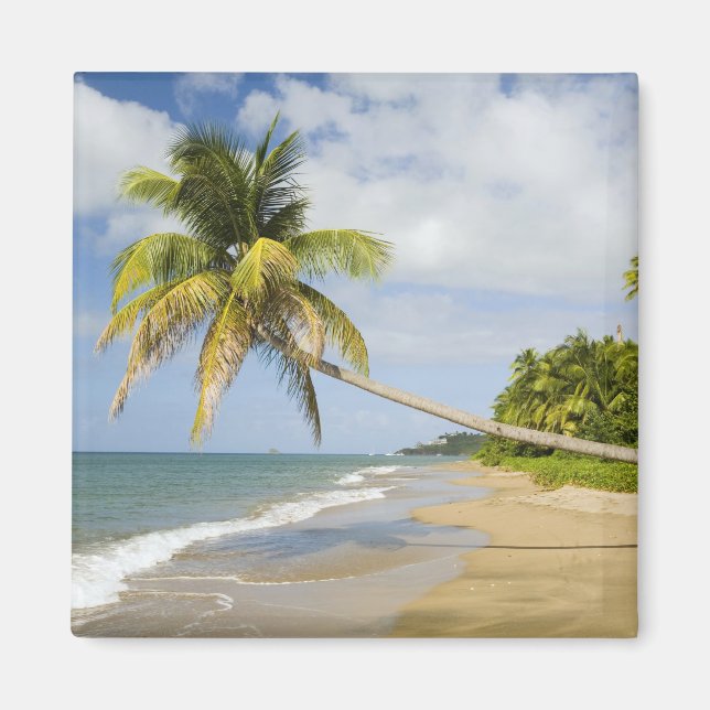 Íman Praia Coconut Grove na Baía de Cades, com St. 2 (Frente)