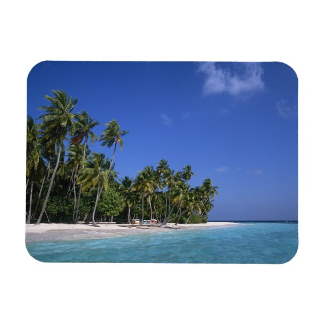 Íman Praia com palmeiras, Maldivas (Horizontal)