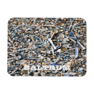 Íman Praia, Conchas, Madeira de Driftwood, Cartão-post