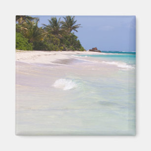 Íman Praia Culebra Puerto Rico do Flamenco