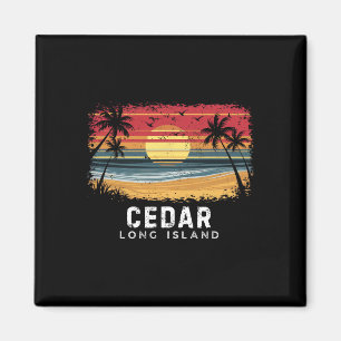 Íman Praia de Cedar Beach Long Island de Prancha de Sur