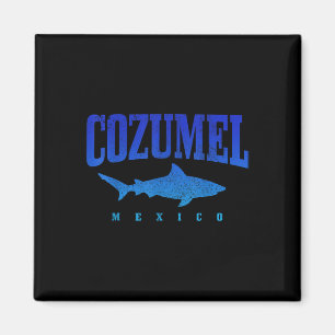 Íman Praia de Cozumel México mergulhador de tubarão mer