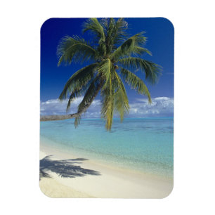Íman Praia de Matira na ilha de Bora Bora, Sociedade
