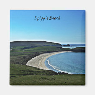 Íman Praia de Spiggie, Shetland