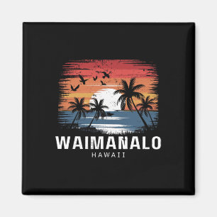Íman Praia de Waimanalo Havaí Surfe Surfista