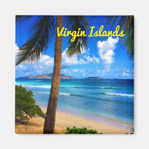 Íman Praia do Caribe tropical das Ilhas Virgens Britân