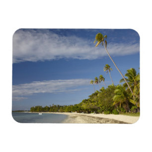 Íman Praia e palmeiras, estância de Plantation Island