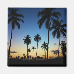 Íman Praia E Vila Costeira Praia Do Forte