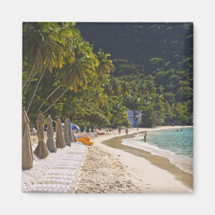 Íman Praia em Cane Garden Bay, Ilha de Tortola
