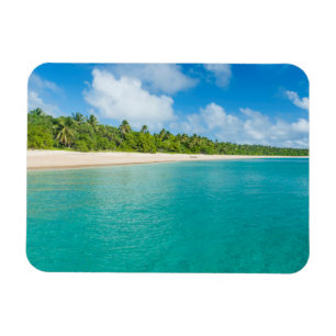 Íman Praia ladeada por palmeiras, Tonga