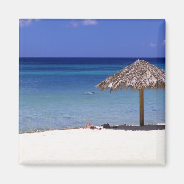 Íman Praia Malmok, Aruba, Antilhas Holandesas (Frente)