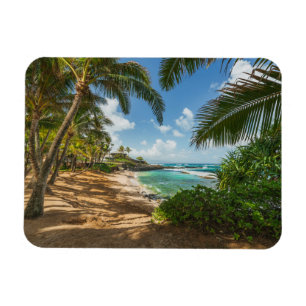 Íman Praia   Maui da angra de Kuau, Havaí