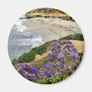 Íman Praia na angra de La Jolla
