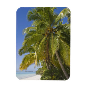 Íman Praia na ilha One Foot, Aitutaki, Ilhas Cook