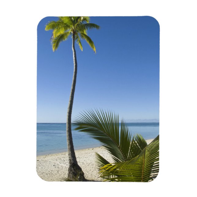 Íman Praia no continente Aitutaki, Ilhas Cook (Vertical)