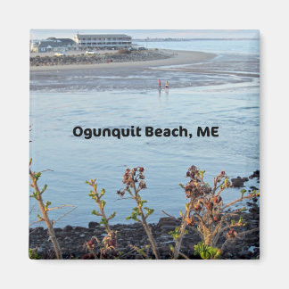 Íman Praia Ogunley, Maine
