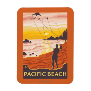 Íman Praia & papagaios - praia pacífica, Washington