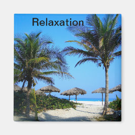 Íman Praia Sandy com Palmeiras e Uma Magna de Visão Oce