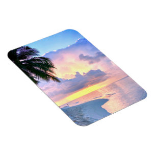 Íman Praia Sunset ocean Areia Palmeira Maldivas Miami