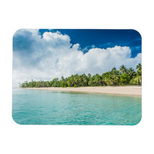 Íman Praia Tropical Cercada por Palmeiras