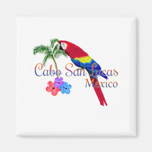 Íman Praia tropical de Cabo San Lucas