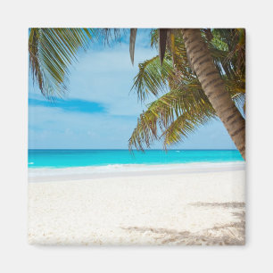 Íman Praia Tropical de Turquesa