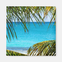 Praia Tropical enquadrada com Palm Fronds