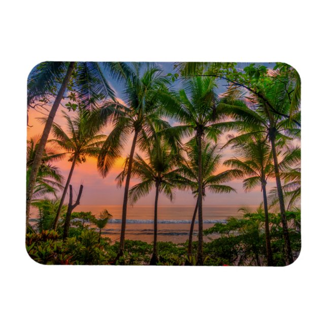 Íman Praia Tropical | Parque Nacional Corcovado (Horizontal)