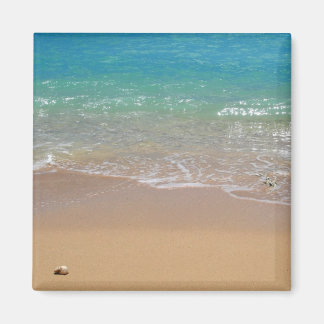Íman Praia Tropical - Waikiki, Oahu, Havaí