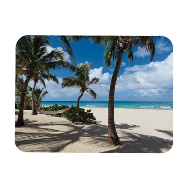Íman Praias Tropicais | Anguilla Beach, Palm Tree (Horizontal)