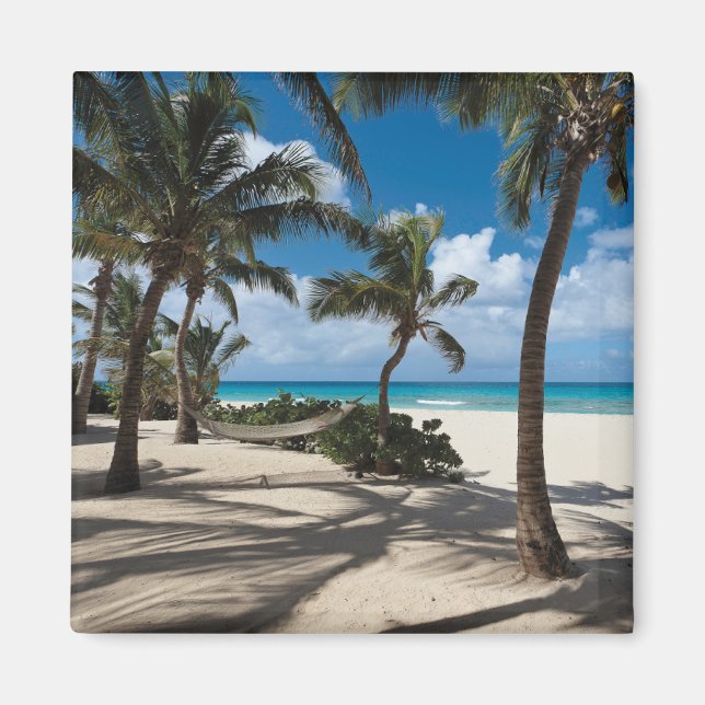 Íman Praias Tropicais | Anguilla Beach, Palm Tree (Frente)