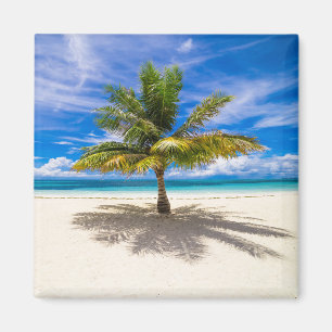 Íman Praias Tropicais   Bora Bora, Polinésia Francesa