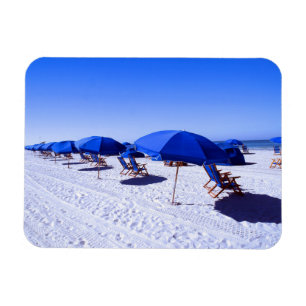 Íman Praias Tropicais   Clearwater, Flórida