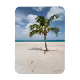 Íman Praias Tropicais   Eagle Beach, Aruba